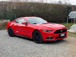 Rosso Usata 2016 Ford Mustang Fastback Coupé | 26.990 € (Ottimo prezzo)