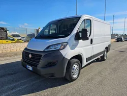 Bianco Usata 2020 Fiat Ducato Furgone | 14.300 € (Ottimo prezzo)