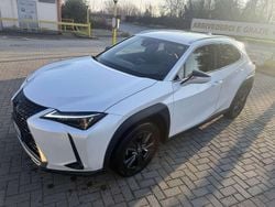 Bianco perla met. Usata 2022 Lexus UX 250h Business Edition SUV | 22.500 € (Buon prezzo)