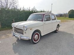 Bianco Usata 1959 Fiat 1100 Tre volumi | 14.500 €