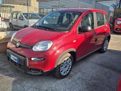 Rosso Usata 2024 Fiat Panda S Due volumi | 13.400 € (Cara)