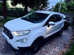 Bianco Usata 2019 Ford Ecosport SUV | 12.900 € (Molto cara)