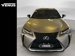 Gray Usata 2021 Lexus UX Luxury Line SUV | 24.600 € (Buon prezzo)