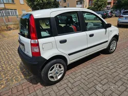 Bianco Usata 2006 Fiat Panda 4x4 Due volumi | 5500 € (Buon prezzo)