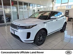 Bianco Usata 2020 Land Rover Range Rover evoque S SUV | 23.490 € (Super prezzo)