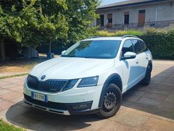Bianco Usata 2018 Skoda Octavia Scout Scout 4x4 Station wagon | 16.000 €