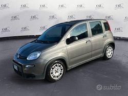 Grigio Usata 2023 Fiat Panda Tre volumi | 10.500 € (Buon prezzo)