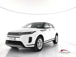 Bianco Usata 2021 Land Rover Range Rover evoque SUV | 29.500 € (Super prezzo)