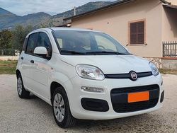 Bianco Usata 2020 Fiat Panda Tre volumi | 8000 € (Ottimo prezzo)