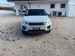 Bianco Usata 2017 Land Rover Range Rover evoque SUV | 14.000 €