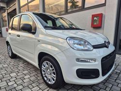 Bianco Nuova 2025 Fiat Grande Panda S Due volumi | 15.000 € (Buon prezzo)