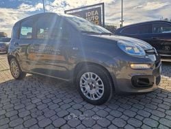 Grigio Usata 2022 Fiat Panda Due volumi | 7900 € (Ottimo prezzo)