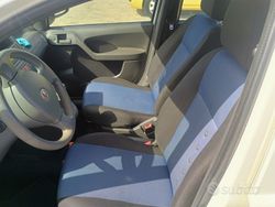 Bianco Usata 2011 Fiat Panda Due volumi | 3700 € (Ottimo prezzo)