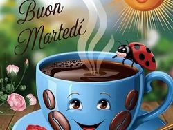 Bianco Usata 2015 Peugeot 308 Tre volumi | 8000 € (Buon prezzo)