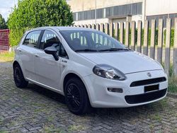 Bianco Usata 2014 Fiat Punto Young Due volumi | 6200 € (Cara)