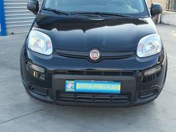 Nero Usata 2023 Fiat Panda S Due volumi | 12.000 € (Buon prezzo)