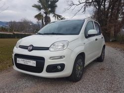 Bianco Usata 2016 Fiat Panda Easy Due volumi | 8200 € (Buon prezzo)