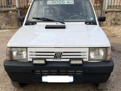 Bianco Usata 2000 Fiat Panda 4x4 Trekking Due volumi | 8000 € (Molto cara)