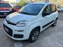 Bianco Usata 2016 Fiat Panda 4x4 Due volumi | 13.990 € (Molto cara)