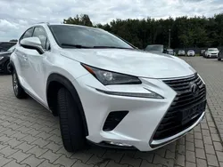 Bianco Usata 2020 Lexus NX300h Luxury Line SUV | 24.500 € (Ottimo prezzo)