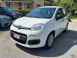 Bianco Usata 2022 Fiat Panda S Due volumi | 9600 € (Buon prezzo)