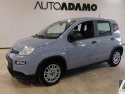 Grigio Usata 2023 Fiat Panda S Due volumi | 12.900 € (Cara)