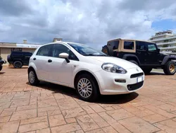 Bianco Usata 2014 Fiat Punto Street Due volumi | 6490 € (Buon prezzo)