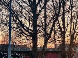 Nero Usata 2003 Cupra Leon Tre volumi | 14.000 €