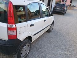 Usata 2011 Fiat Panda Due volumi | 6000 € (Molto cara)