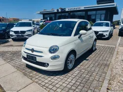 Bianco Usata 2020 Fiat 500 Lounge Tre volumi | 11.900 € (Buon prezzo)