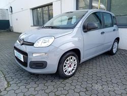 Grigio Usata 2020 Fiat Panda Easy Tre volumi | 9900 € (Buon prezzo)
