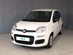 Bianco Nuova 2025 Fiat Panda Icon Tre volumi | 12.190 €