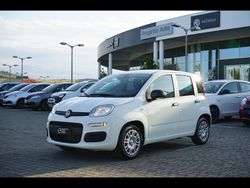 Bianco divino Nuova 2025 Fiat Panda Due volumi | 14.800 €