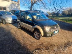 Verde Usata 2010 Fiat Panda Cross Cross Due volumi | 7900 € (Buon prezzo)