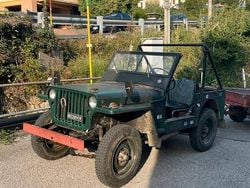 Verde Usata 1960 Jeep Willys | 7000 €