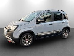 Grigio Usata 2022 Fiat Panda Cross Cross Due volumi | 11.900 € (Buon prezzo)