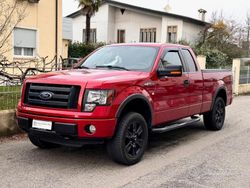 Rosso Usata 2010 Ford F-150 Pick-up | 25.900 €