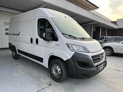 Bianco Usata 2019 Fiat Ducato Furgone | 14.500 € (Ottimo prezzo)