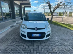Bianco Usata 2019 Fiat Panda Easy Due volumi | 8800 € (Buon prezzo)