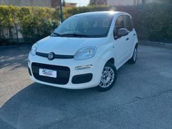 Bianco Usata 2020 Fiat Panda Due volumi | 10.800 € (Cara)