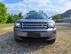 Grigio Usata 2014 Land Rover Freelander 2 SE SUV | 10.500 € (Buon prezzo)