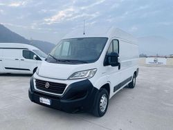 Bianco Usata 2020 Fiat Ducato Furgone | 12.399 € (Ottimo prezzo)