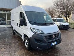 Bianco Usata 2021 Fiat Ducato Furgone | 16.900 € (Ottimo prezzo)