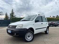 Bianco Usata 2007 Fiat Panda 4x4 Active Due volumi | 5799 € (Buon prezzo)