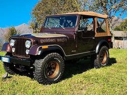 Marrone Usata 1980 Jeep CJ SUV | 51.000 €