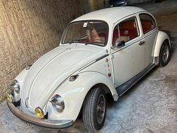 Bianco Usata 1970 VW Maggiolino | 8500 €