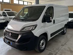 Bianco Usata 2021 Fiat Ducato Furgone | 12.590 € (Ottimo prezzo)