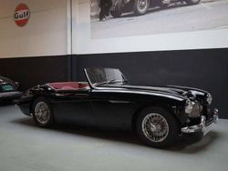 Nero Usata 1962 Austin Healey 3000 MK II Cabrio | 69.900 €