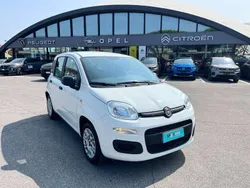 Bianco Usata 2019 Fiat Panda Easy Due volumi | 10.200 € (Buon prezzo)