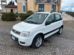 Bianco Usata 2009 Fiat Panda Climbing Tre volumi | 3500 € (Buon prezzo)
